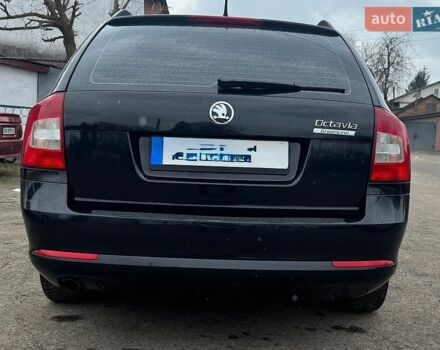 Черный Шкода Октавия, объемом двигателя 1.6 л и пробегом 235 тыс. км за 8499 $, фото 1 на Automoto.ua