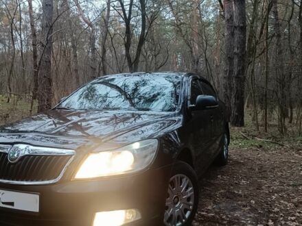 Шкода Октавія 2012 у Александрие на Automoto.ua Чорний Шкода Октавія, об'ємом двигуна 0 л та пробігом 196 тис. км за 8000 $, фото 1 на Automoto.ua