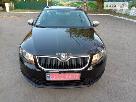 Шкода Октавия 2014 в Новоархангельске на Automoto.ua Черный Шкода Октавия, объемом двигателя 1.6 л и пробегом 187 тыс. км за 10500 $, фото 1 на Automoto.ua