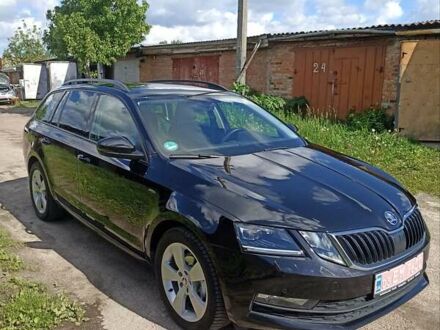 Шкода Октавия 2018 в Бердичеве на Automoto.ua Черный Шкода Октавия, объемом двигателя 0 л и пробегом 256 тыс. км за 13600 $, фото 1 на Automoto.ua