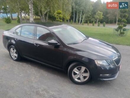 Шкода Октавія 2018 у Хмельницькому на Automoto.ua Чорний Шкода Октавія, об'ємом двигуна 1.6 л та пробігом 210 тис. км за 11900 $, фото 1 на Automoto.ua