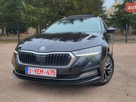 Шкода Октавия 2020 в Бердичеве на Automoto.ua Черный Шкода Октавия, объемом двигателя 2 л и пробегом 211 тыс. км за 19350 $, фото 1 на Automoto.ua