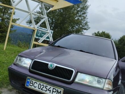 Шкода Октавия 1999 в Стрые на Automoto.ua Фиолетовый Шкода Октавия, объемом двигателя 1.6 л и пробегом 250 тыс. км за 3700 $, фото 1 на Automoto.ua