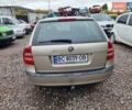 Шкода Октавия 2005 в Кременце на Automoto.ua Коричневый Шкода Октавия, объемом двигателя 1.6 л и пробегом 270 тыс. км за 3950 $, фото 17 на Automoto.ua
