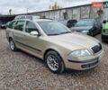 Шкода Октавия 2005 в Кременце на Automoto.ua Коричневый Шкода Октавия, объемом двигателя 1.6 л и пробегом 270 тыс. км за 3950 $, фото 20 на Automoto.ua