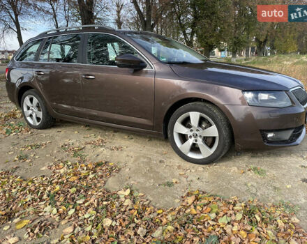 Шкода Октавия 2014 в Киеве на Automoto.ua Коричневый Шкода Октавия, объемом двигателя 2 л и пробегом 232 тыс. км за 14200 $, фото 10 на Automoto.ua