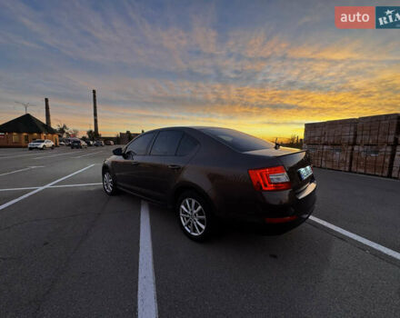 Шкода Октавія 2016 у Кривому Розі на Automoto.ua Коричневий Шкода Октавія, об'ємом двигуна 1.4 л та пробігом 114 тис. км за 13000 $, фото 22 на Automoto.ua