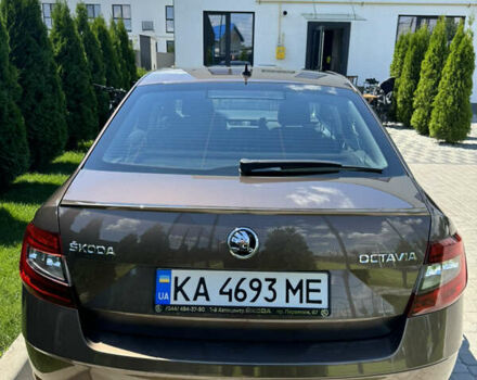 Шкода Октавия 2019 в Киеве на Automoto.ua Коричневый Шкода Октавия, объемом двигателя 1.8 л и пробегом 235 тыс. км за 14000 $, фото 29 на Automoto.ua