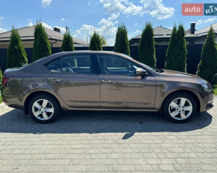 Шкода Октавия 2019 в Киеве на Automoto.ua Коричневый Шкода Октавия, объемом двигателя 1.8 л и пробегом 235 тыс. км за 14000 $, фото 33 на Automoto.ua