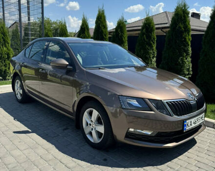 Шкода Октавия 2019 в Киеве на Automoto.ua Коричневый Шкода Октавия, объемом двигателя 1.8 л и пробегом 235 тыс. км за 14000 $, фото 42 на Automoto.ua