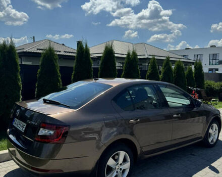Шкода Октавия 2019 в Киеве на Automoto.ua Коричневый Шкода Октавия, объемом двигателя 1.8 л и пробегом 235 тыс. км за 14000 $, фото 31 на Automoto.ua