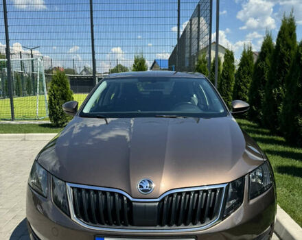 Шкода Октавия 2019 в Киеве на Automoto.ua Коричневый Шкода Октавия, объемом двигателя 1.8 л и пробегом 235 тыс. км за 14000 $, фото 35 на Automoto.ua