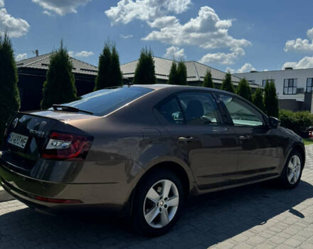 Шкода Октавия 2019 в Киеве на Automoto.ua Коричневый Шкода Октавия, объемом двигателя 1.8 л и пробегом 235 тыс. км за 14000 $, фото 32 на Automoto.ua