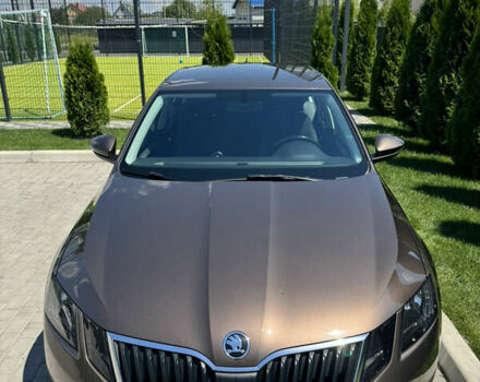 Шкода Октавия 2019 в Киеве на Automoto.ua Коричневый Шкода Октавия, объемом двигателя 1.8 л и пробегом 235 тыс. км за 14000 $, фото 36 на Automoto.ua