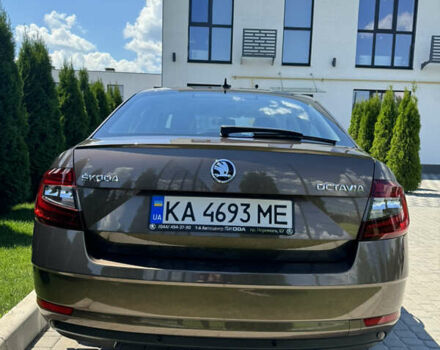 Шкода Октавия 2019 в Киеве на Automoto.ua Коричневый Шкода Октавия, объемом двигателя 1.8 л и пробегом 235 тыс. км за 14000 $, фото 30 на Automoto.ua