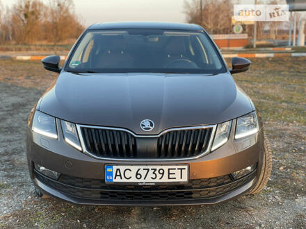Шкода Октавия 2018 в Киеве на Automoto.ua Коричневый Шкода Октавия, объемом двигателя 1.6 л и пробегом 235 тыс. км за 16499 $, фото 1 на Automoto.ua