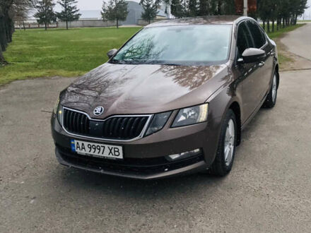 Шкода Октавия 2018 в Белой Церкве на Automoto.ua Коричневый Шкода Октавия, объемом двигателя 1.4 л и пробегом 184 тыс. км за 15500 $, фото 1 на Automoto.ua