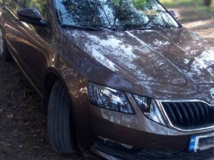 Шкода Октавия 2019 в Павлограде на Automoto.ua Коричневый Шкода Октавия, объемом двигателя 1.6 л и пробегом 57 тыс. км за 17000 $, фото 1 на Automoto.ua