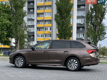Шкода Октавия 2021 в Киеве на Automoto.ua Коричневый Шкода Октавия, объемом двигателя 1.4 л и пробегом 133 тыс. км за 17800 $, фото 1 на Automoto.ua