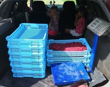 Красный Шкода Октавия, объемом двигателя 1.9 л и пробегом 366 тыс. км за 2499 $, фото 12 на Automoto.ua