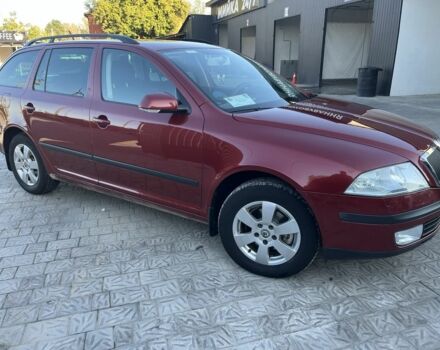 Шкода Октавия 2006 в Вышгороде на Automoto.ua Красный Шкода Октавия, объемом двигателя 1.6 л и пробегом 3 тыс. км за 6799 $, фото 1 на Automoto.ua