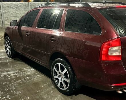Красный Шкода Октавия, объемом двигателя 2 л и пробегом 259 тыс. км за 9700 $, фото 6 на Automoto.ua