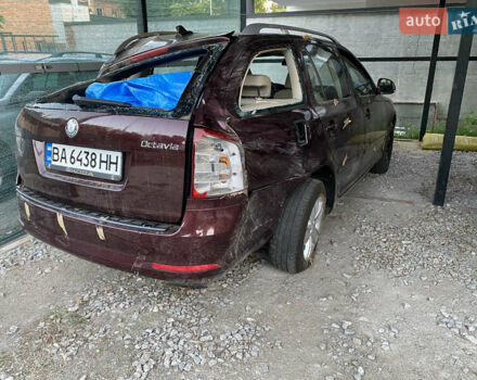 Красный Шкода Октавия, объемом двигателя 1.39 л и пробегом 185 тыс. км за 3500 $, фото 2 на Automoto.ua
