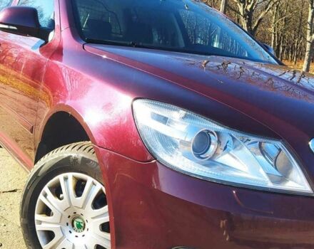 Красный Шкода Октавия, объемом двигателя 2 л и пробегом 270 тыс. км за 8150 $, фото 18 на Automoto.ua