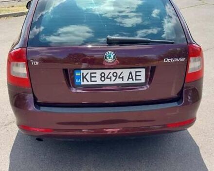 Красный Шкода Октавия, объемом двигателя 1.6 л и пробегом 250 тыс. км за 8500 $, фото 8 на Automoto.ua