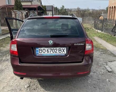 Красный Шкода Октавия, объемом двигателя 1.6 л и пробегом 295 тыс. км за 8600 $, фото 3 на Automoto.ua