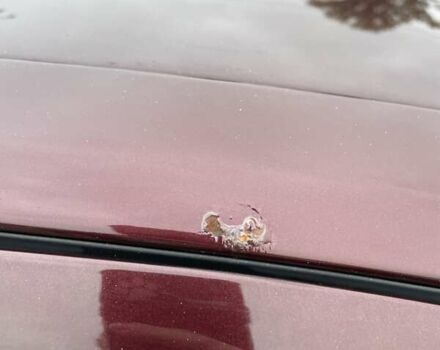 Красный Шкода Октавия, объемом двигателя 1.8 л и пробегом 167 тыс. км за 8200 $, фото 32 на Automoto.ua