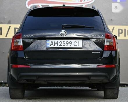 Шкода Октавия 2014 в Бердичеве на Automoto.ua Шкода Октавия, объемом двигателя 1.6 л и пробегом 267 тыс. км за 10600 $, фото 21 на Automoto.ua