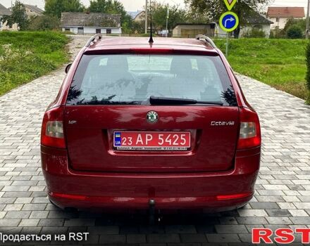 Шкода Октавия 2010 в Вознесенске на Automoto.ua Шкода Октавия, объемом двигателя 1.6 л и пробегом 171 тыс. км за 7900 $, фото 3 на Automoto.ua