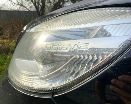Шкода Октавия, объемом двигателя 1.6 л и пробегом 275 тыс. км за 7300 $, фото 7 на Automoto.ua