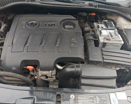 Шкода Октавия, объемом двигателя 1.6 л и пробегом 305 тыс. км за 8400 $, фото 50 на Automoto.ua