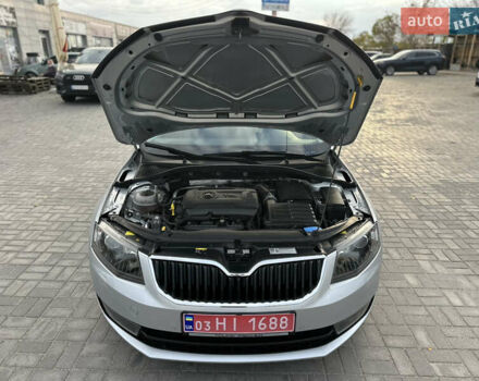 Шкода Октавия 2014 в Запорожье на Automoto.ua Шкода Октавия, объемом двигателя 1.8 л и пробегом 177 тыс. км за 13500 $, фото 78 на Automoto.ua