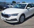 Шкода Октавия, объемом двигателя 1.4 л и пробегом 165 тыс. км за 18300 $, фото 1 на Automoto.ua