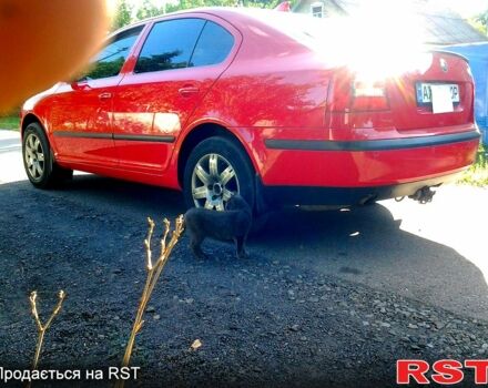 Шкода Октавия, объемом двигателя 1.6 л и пробегом 217 тыс. км за 6200 $, фото 3 на Automoto.ua