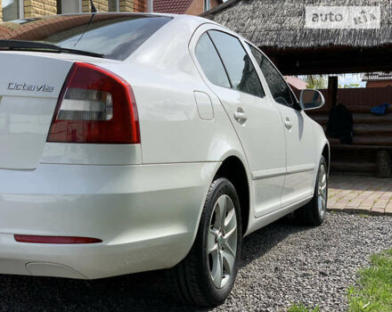 Шкода Октавія, об'ємом двигуна 0 л та пробігом 205 тис. км за 8600 $, фото 7 на Automoto.ua