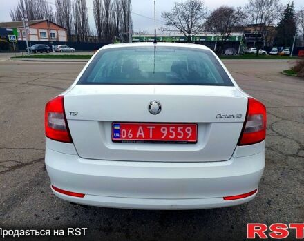 Шкода Октавия, объемом двигателя 1.4 л и пробегом 187 тыс. км за 8000 $, фото 4 на Automoto.ua