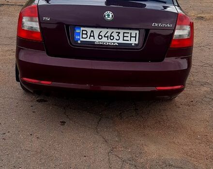 Шкода Октавия, объемом двигателя 1.4 л и пробегом 150 тыс. км за 7350 $, фото 5 на Automoto.ua