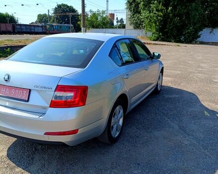 Шкода Октавия, объемом двигателя 1.6 л и пробегом 300 тыс. км за 9999 $, фото 2 на Automoto.ua