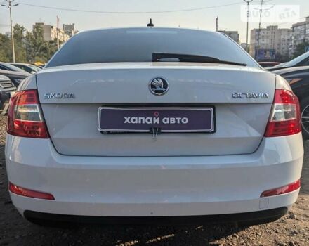 Шкода Октавия, объемом двигателя 1.4 л и пробегом 222 тыс. км за 10200 $, фото 7 на Automoto.ua