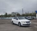 Шкода Октавия 2014 в Запорожье на Automoto.ua Шкода Октавия, объемом двигателя 2 л и пробегом 315 тыс. км за 11700 $, фото 51 на Automoto.ua