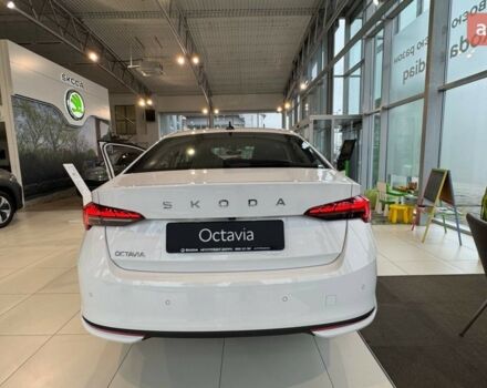 купити нове авто Шкода Октавія 2024 року від офіційного дилера Автоцентр-Дніпропетровськ Skoda Шкода фото