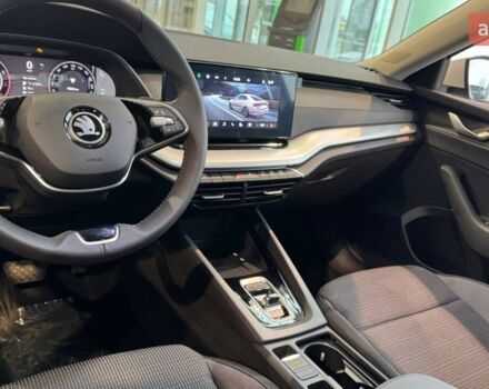 купити нове авто Шкода Октавія 2024 року від офіційного дилера Автоцентр-Дніпропетровськ Skoda Шкода фото