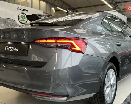 купить новое авто Шкода Октавия 2025 года от официального дилера Автоцентр AUTO.RIA Шкода фото
