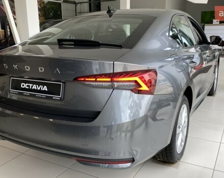 купить новое авто Шкода Октавия 2025 года от официального дилера Автоцентр ТОВ "ЕКСПРЕС АВТО" Шкода фото