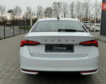 купити нове авто Шкода Октавія 2025 року від офіційного дилера Альянс-ІФ Skoda Шкода фото