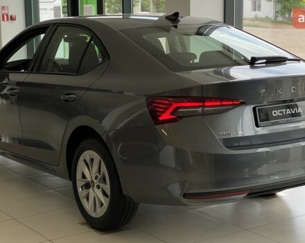купить новое авто Шкода Октавия 2025 года от официального дилера Автоцентр ТОВ "ЕКСПРЕС АВТО" Шкода фото